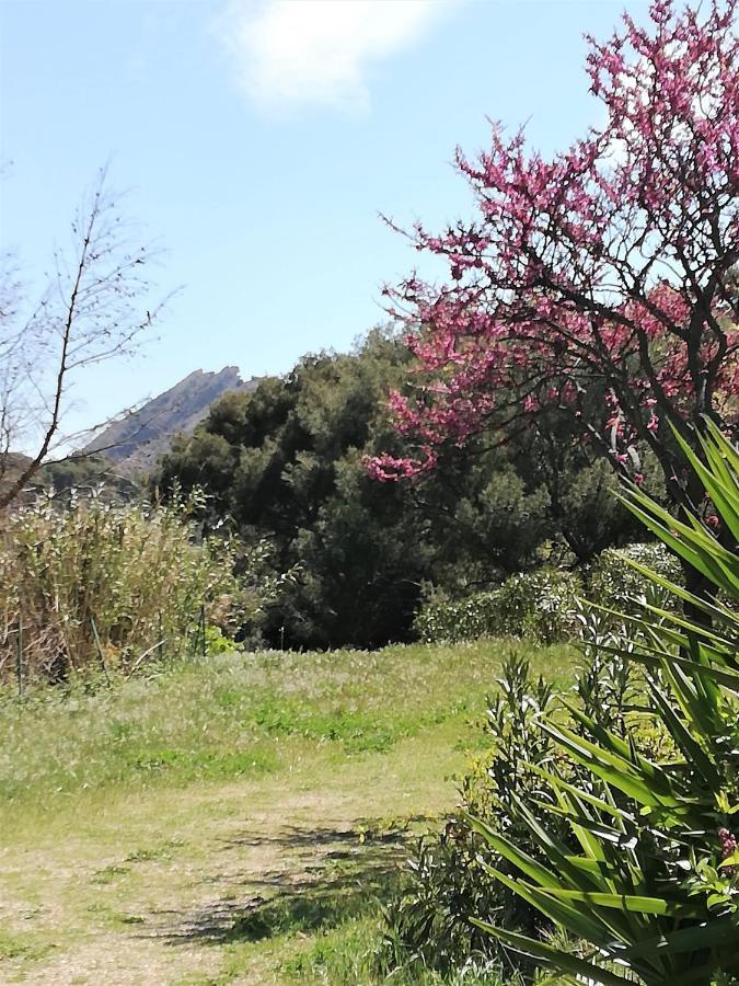 Studio 28M2 Climatise,Wifi, Proche Des Calanques,Plages 라시오타 외부 사진