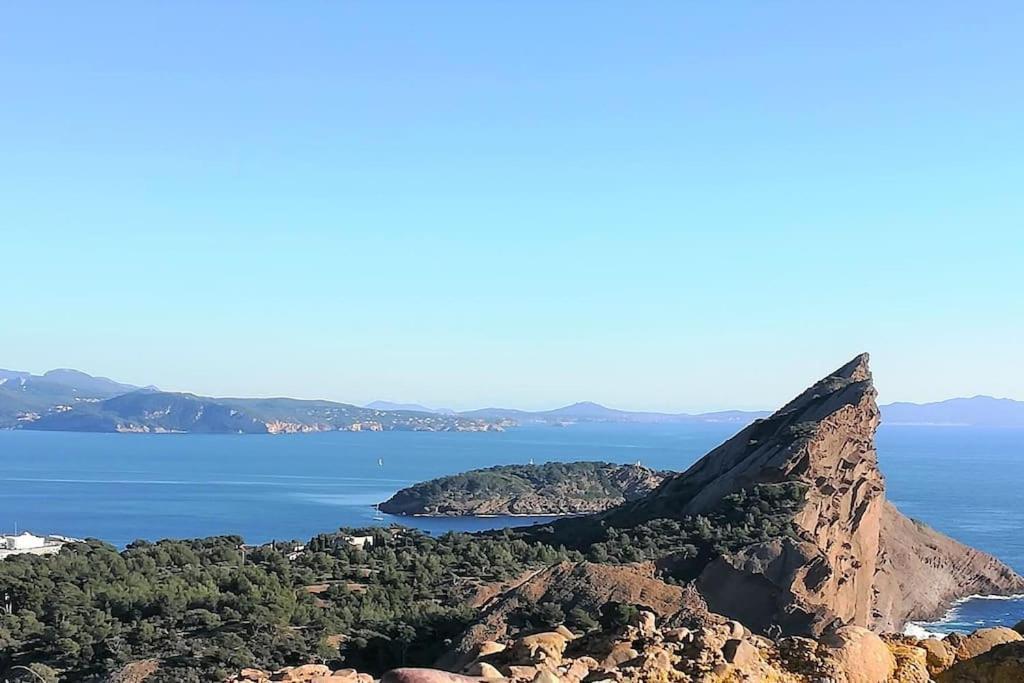 Studio 28M2 Climatise,Wifi, Proche Des Calanques,Plages 라시오타 외부 사진